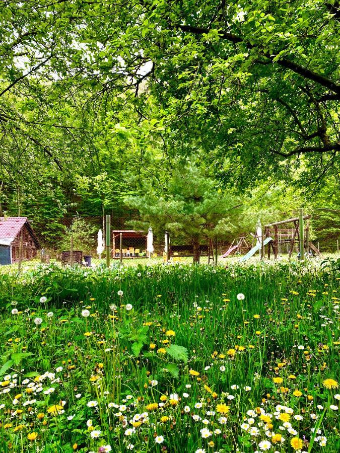 House In The Woods Bed & Breakfast เรชิตา ภายนอก รูปภาพ