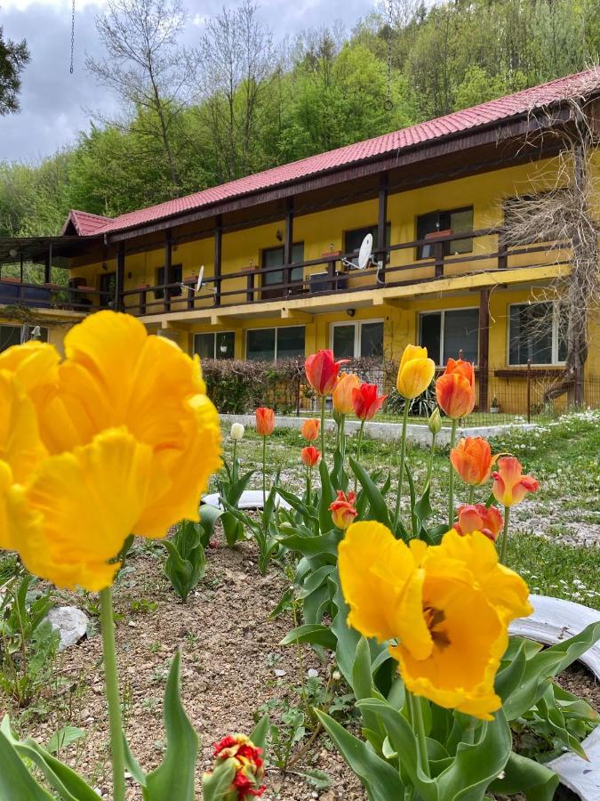 House In The Woods Bed & Breakfast เรชิตา ภายนอก รูปภาพ