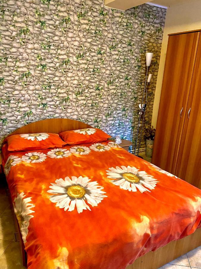 House In The Woods Bed & Breakfast เรชิตา ภายนอก รูปภาพ