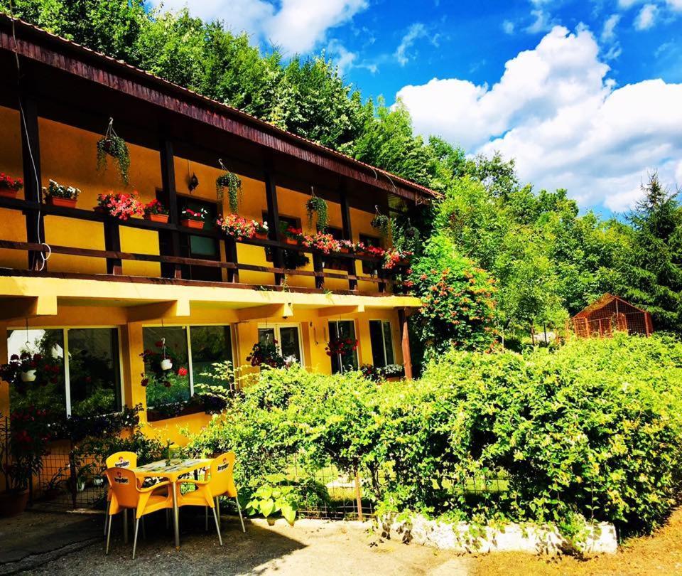 House In The Woods Bed & Breakfast เรชิตา ภายนอก รูปภาพ