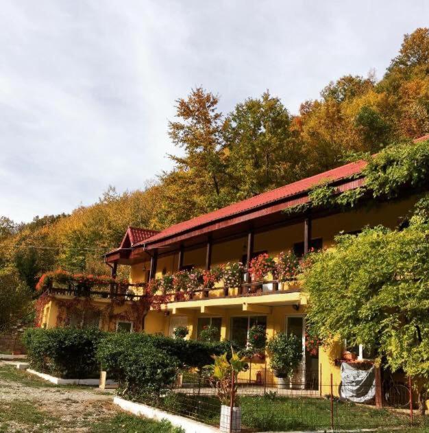 House In The Woods Bed & Breakfast เรชิตา ภายนอก รูปภาพ