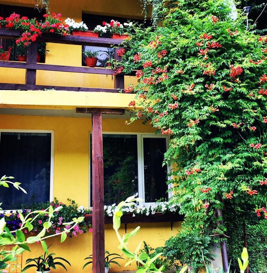 House In The Woods Bed & Breakfast เรชิตา ภายนอก รูปภาพ