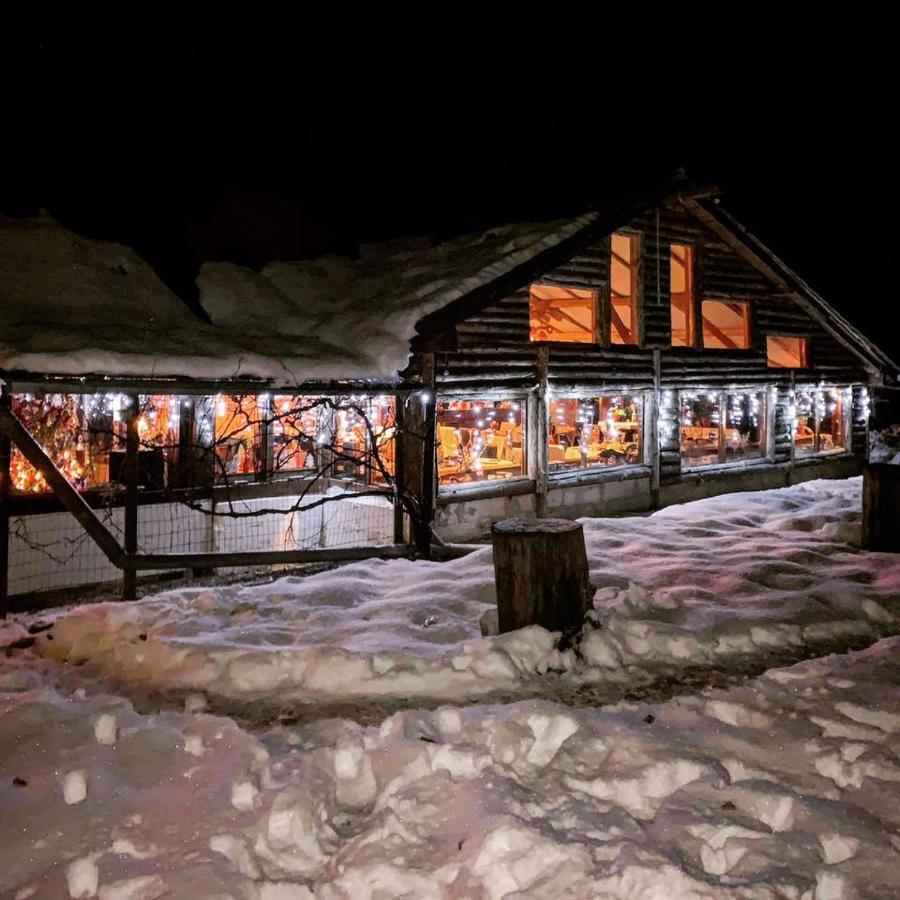 House In The Woods Bed & Breakfast เรชิตา ภายนอก รูปภาพ