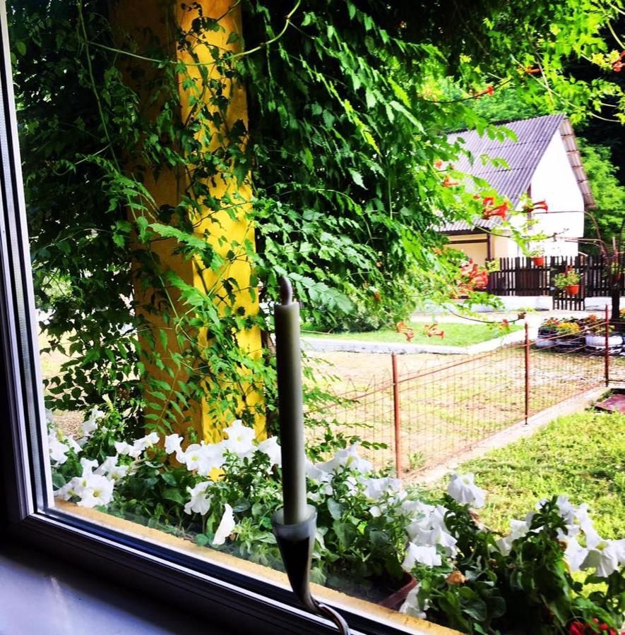 House In The Woods Bed & Breakfast เรชิตา ภายนอก รูปภาพ