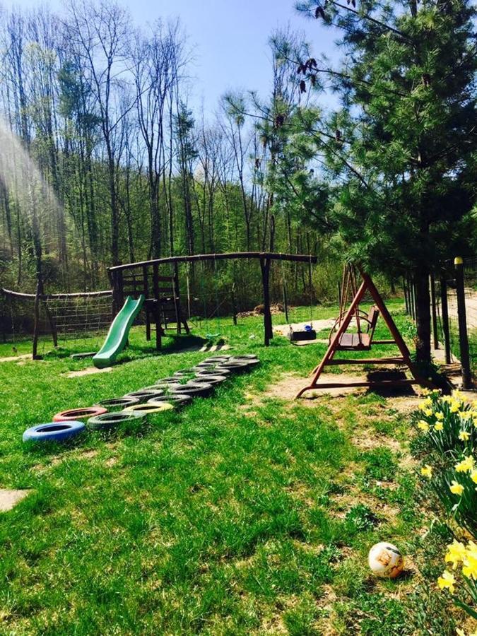 House In The Woods Bed & Breakfast เรชิตา ภายนอก รูปภาพ