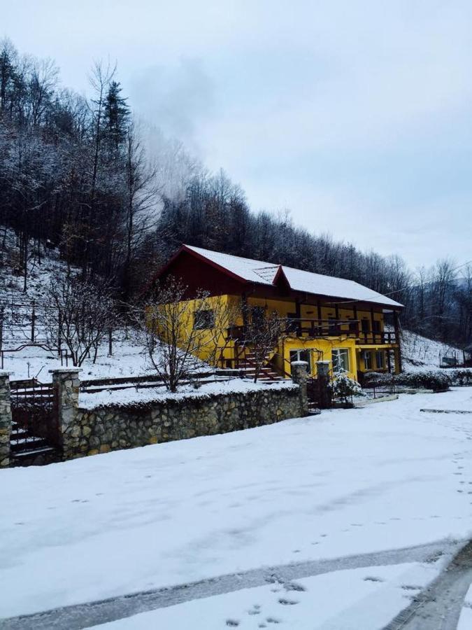 House In The Woods Bed & Breakfast เรชิตา ภายนอก รูปภาพ