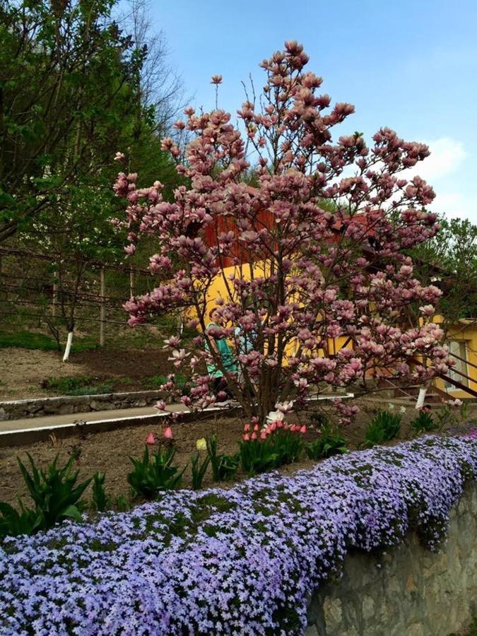 House In The Woods Bed & Breakfast เรชิตา ภายนอก รูปภาพ