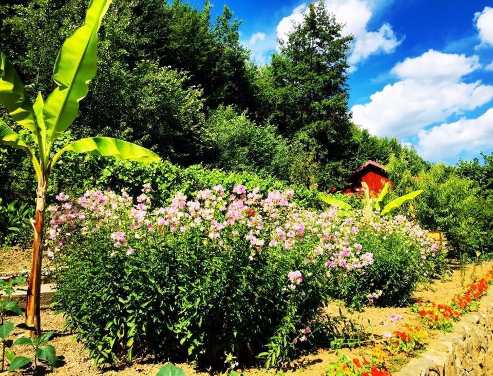 House In The Woods Bed & Breakfast เรชิตา ภายนอก รูปภาพ