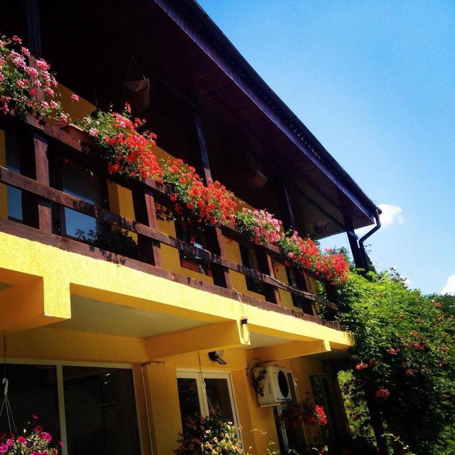 House In The Woods Bed & Breakfast เรชิตา ภายนอก รูปภาพ
