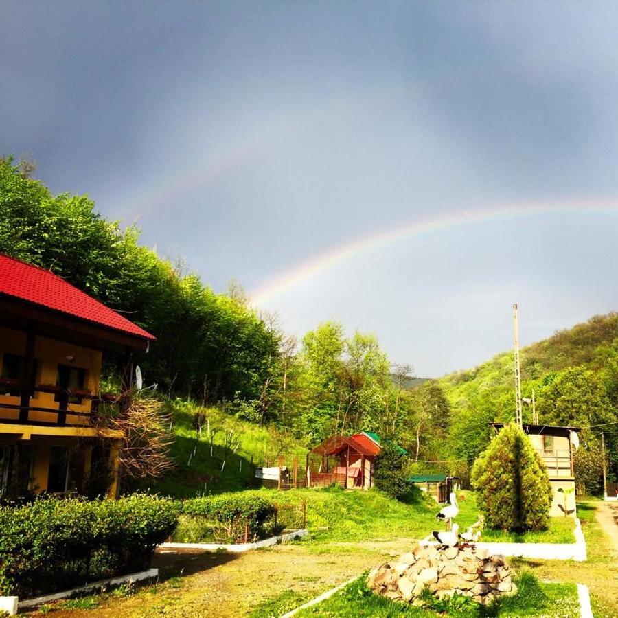 House In The Woods Bed & Breakfast เรชิตา ภายนอก รูปภาพ